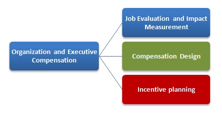Executive Compensation Plan: How It Works & Structure