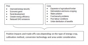 biofuels challenges